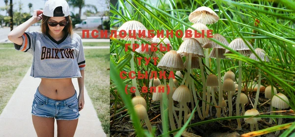 прущая мука Волоколамск